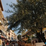 Çakıltaşı Apart