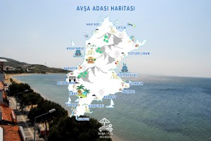 Avşa Adası Haritası