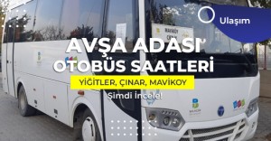 Avşa Adası Plajlar, Mavi Koy ve Yiğitler Köyü Otobüs Minibüs Saatleri 2026
