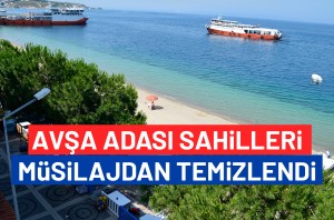 Avşa’da Müsilaj (Salya) Var mı? (SON DURUM)