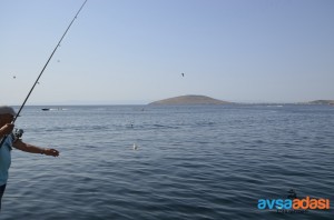 Avşa Adası Olta Balıkçılığı