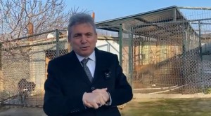 Avşa Adası Hayvan Barınağı Yenilendi