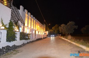 Tanz Disco Avşa Adası Konser Takvimi 2026