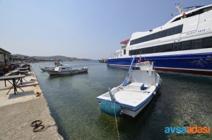 Avşa Adası’na Günübirlik Gidilir Mi?