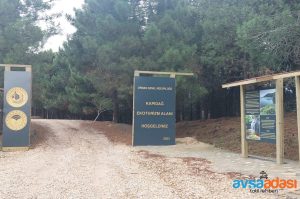 Kapıdağ Yarımadası Köyleri Rehberi 2026