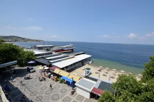 Deniz Yıldızı Kayı Apart