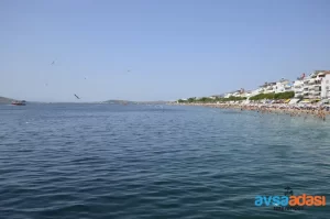 Avşa Adası Hakkında