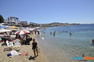 Avşa Adası Kalabalık Mı? 2026 Yaz Sezonunda Son Durum