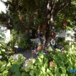 Bozyiğit Apart
