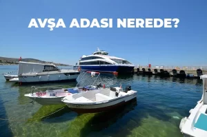 Avşa Adası Nerede ve Hangi İle Bağlı?