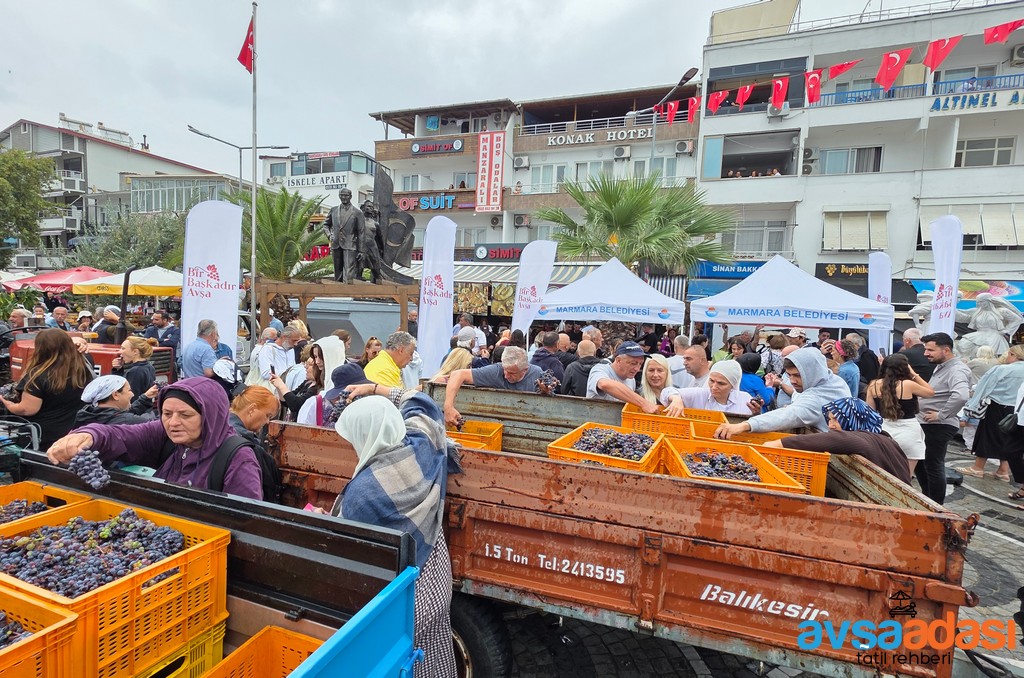 AVŞA ADASI BAĞ BOZUMU