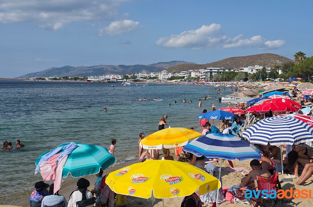 avşa adası sahil 2026