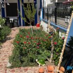 Efe Motel
