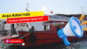 avşa feribot seferleri iptal mi