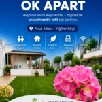 Avşa Adası Yiğitler Köyü Konaklama Rehberi 2026