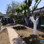 Efe Motel