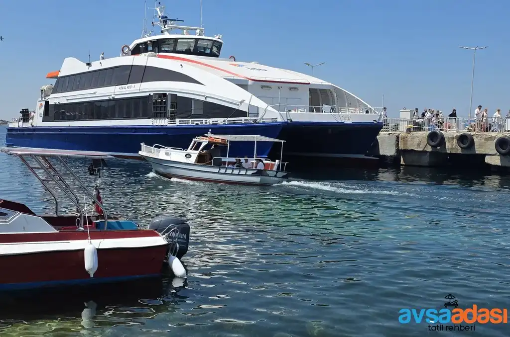 avşa adası ulaşım